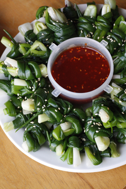 Korean Blanched Scallion Sashimi or Green Onion Bundles (Paganghoe íŒŒê°•íšŒ)