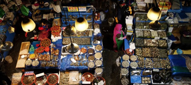 Noryangjin Fish Market, Seoul (ë…¸ëŸ‰ì§„ìˆ˜ì‚°ì‹œìž¥)